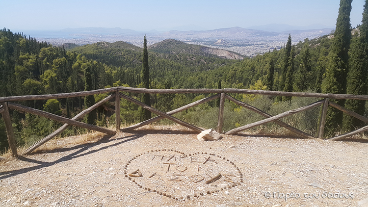 Παρέα του δάσους. Μια διαφορετική καλοκαιρινή πρόταση για παιδιά στο αισθητικό δάσος του Υμηττού