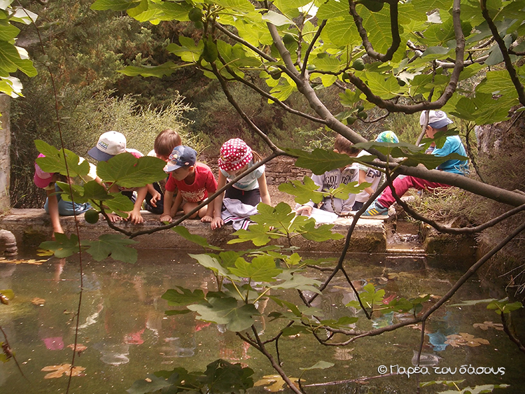 Pedagogical workshops for preschool & school age children